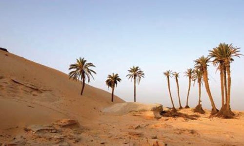 Jour 3 :	Sharm El Sheikh