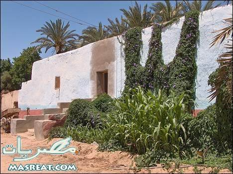 	Day 7 :	Oasis Kharga - Louxor