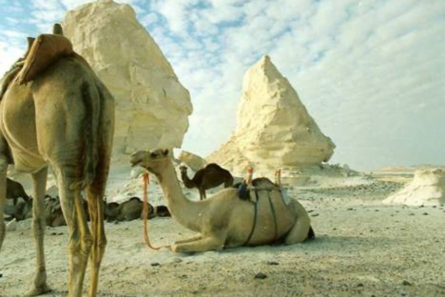 Désert Blanc 3 nuits / 4 jours