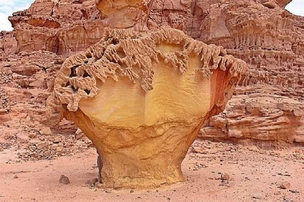 Jour 5 :	 Monastere de St. Catherine - Wadi Arada