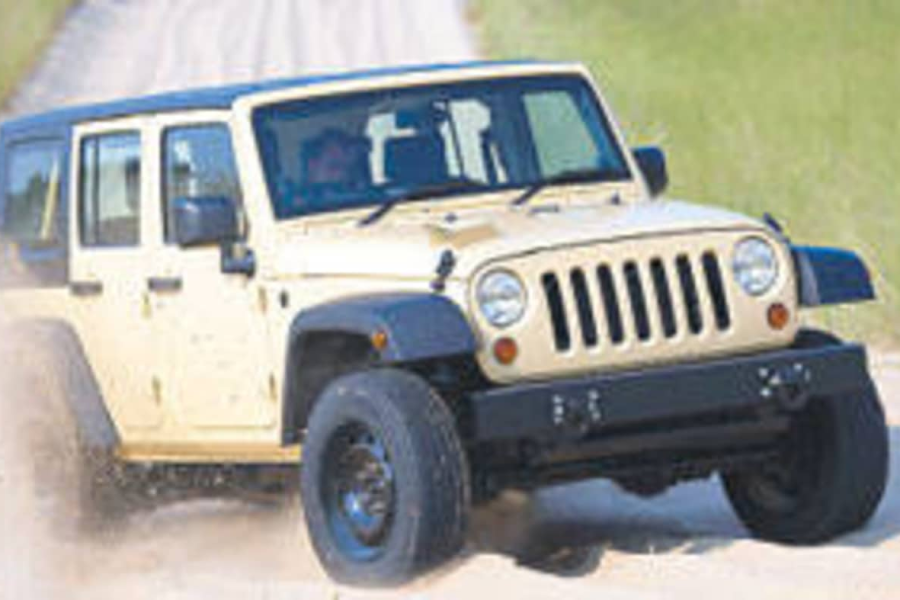 BBQ Bédouin dans le désert égyptien